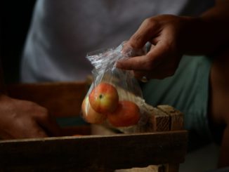 Ce n'est pas que du poisson. Chaque semaine, vous consommez 5 g de plastique, comme une carte de crédit.