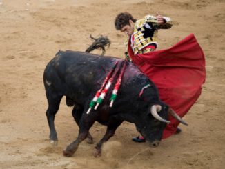 José Tomás, le philosophe torero devenu légende