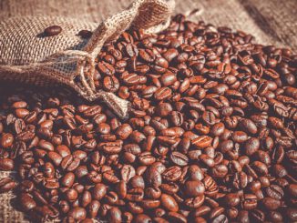 Machine à café: Cosses, capsules ou céréales, avantages et inconvénients de différents types