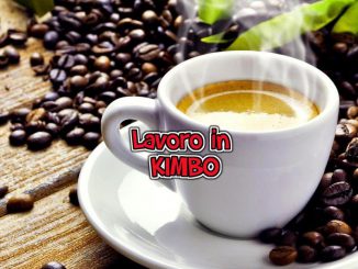 Kimbo travaille avec nous: positions ouvertes, opinions et comment postuler