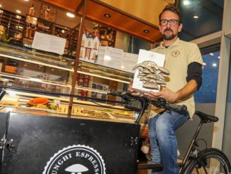 Cultiver des champignons dans le marc de café: une jeune entreprise surprend Scandicci - Cronaca