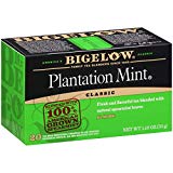 Bigelow Plantation Mint Black Tea Bags 20-Count Boxes (Pack of 6), 120 Tea Bags Total.  Caffeinated Individual Black Tea Bags, for Hot Tea or Iced Tea, Drink Plain or Sweetened with Honey or Sugar
