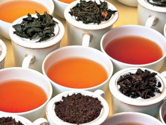 Les meilleures marques de thé sur le marché - Teakruthi