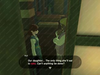 zelda breath of the wild cake quest