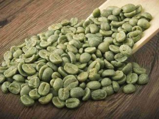 Café vert pour perdre du poids, les bienfaits de l'acide chlorogénique