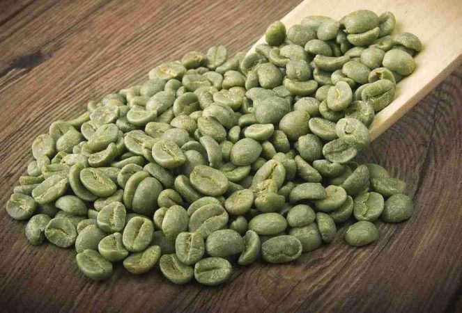 Café vert pour perdre du poids, les bienfaits de l'acide chlorogénique