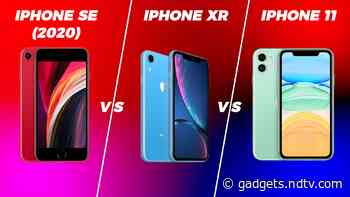 iPhone 11 vs iPhone SE (2020) vs iPhone XR: quel est le meilleur iPhone «abordable» en Inde?