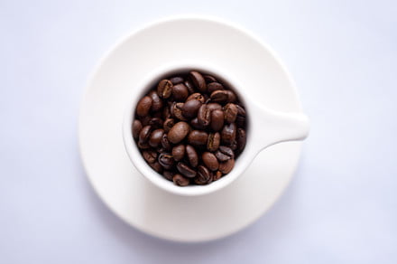 Café, expresso et infusion à froid: quelle est la différence?