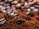 Ce plaisir appelé café qui implique les personnes âgées et les milléniaux