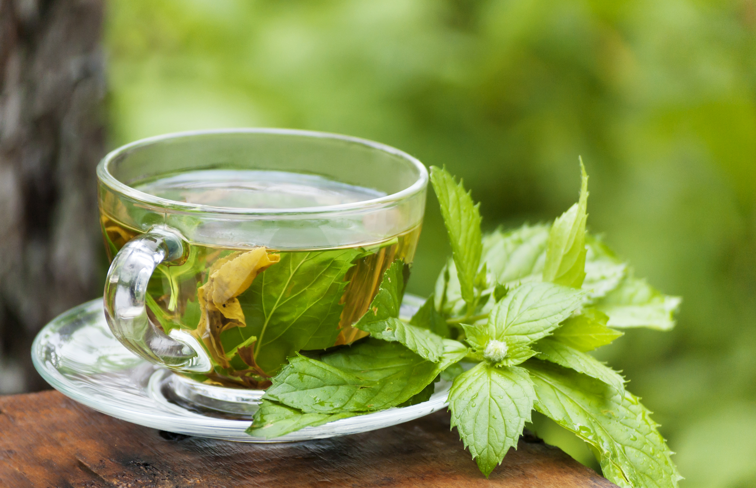Alternatives au thé Earl Grey - Menthe poivrée