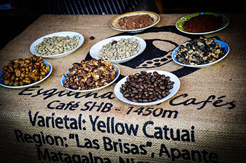 Café du Nicaragua