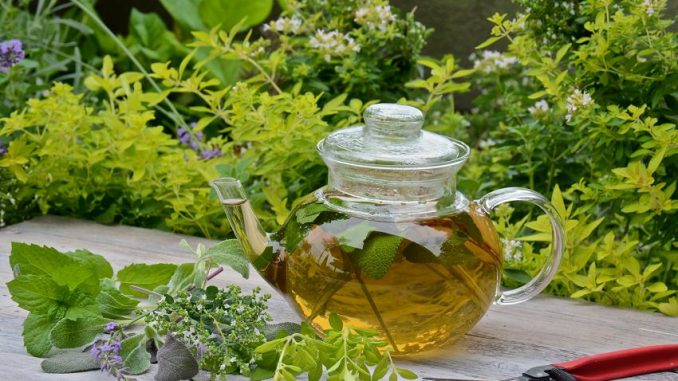 herb tea_mini