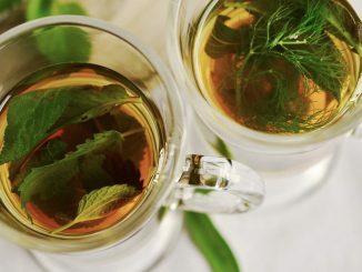 stinging nettle tea