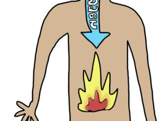 Comment rétablir le feu digestif ?