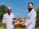 Sassari, à Olmedo la révolution verte avec du marc de café transformé en champignons