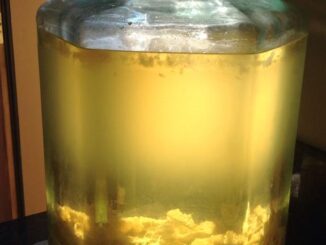 Recette italienne de Limoncello