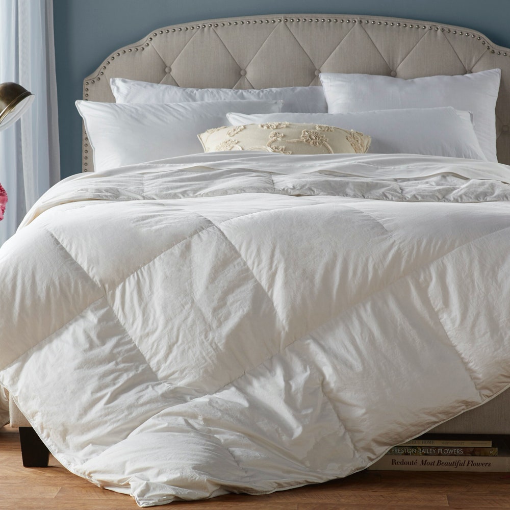 White Alwyn Home All Season Polyester Down Alternative Couette sur lit avec tête de lit rembourrée 