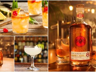 Cocktails au rhum : les meilleurs rhums pour faire des cocktails au rhum classiques