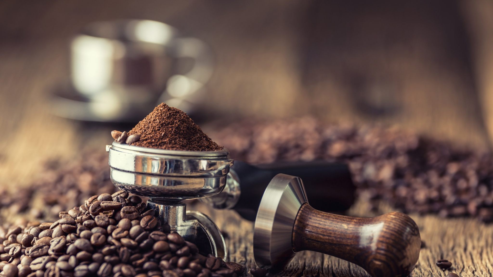 Guide des cafés et torréfacteurs d'Italie_Debutta Camaleonte avec la première édition
