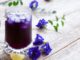 Rafraîchissez-vous par ce temps humide avec ces 5 recettes de thé froid