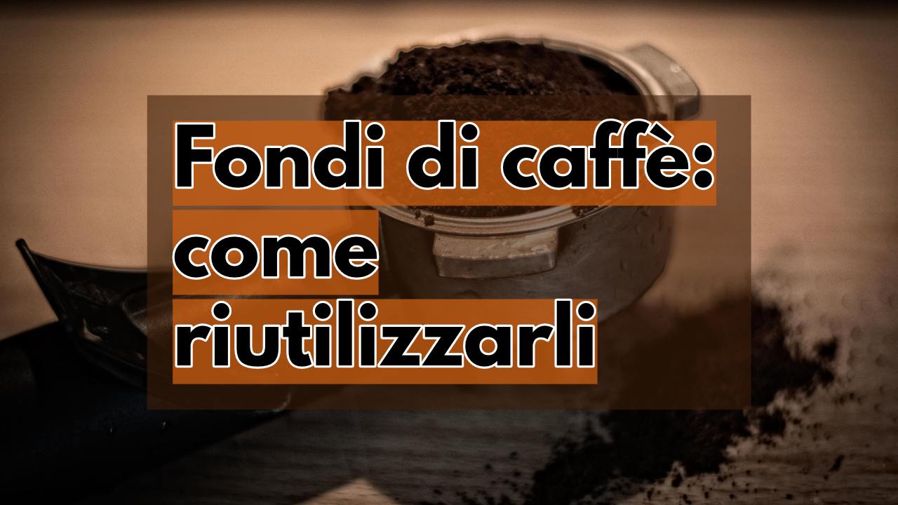 Le marc de café, pourquoi le jetez-vous ? À partir d'aujourd'hui, utilisez-les comme ça, ils sont fabuleux