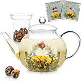 Théière en verre pour cuisinière et micro-ondes Teabloom (40 OZ / 1,2 L)