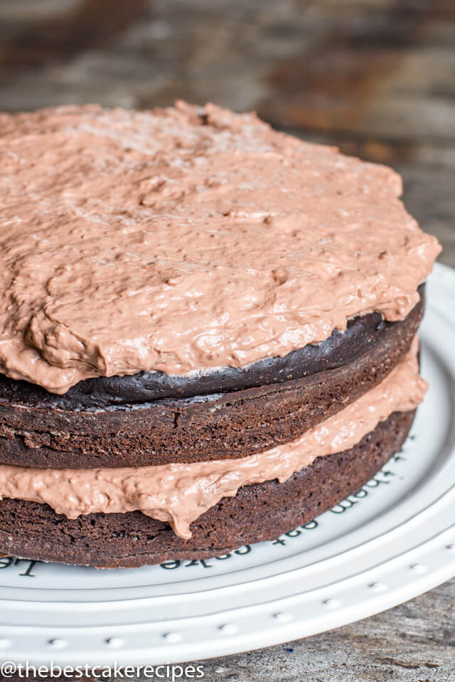 two layer sugar free chocolate cake on a cake stand