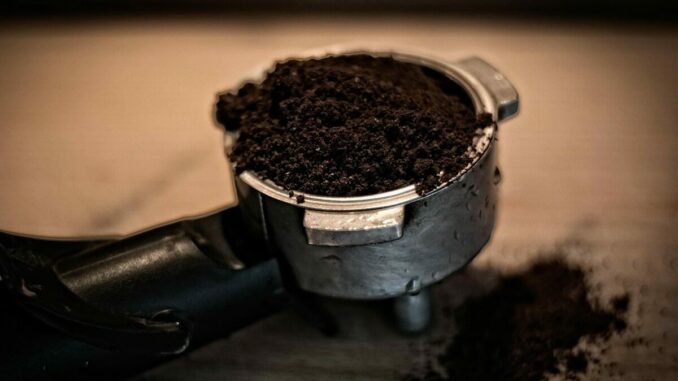 Fini le marc de café à la poubelle, car il est utile non seulement pour les plantes mais aussi en cuisine
