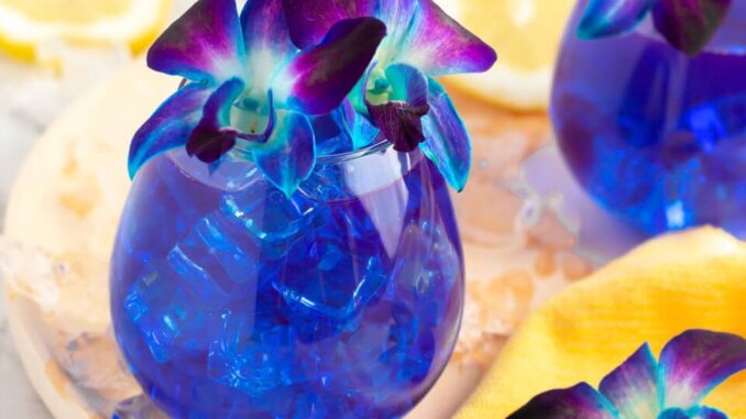 2 blue drinks in round glasses sitting on a light wooden board with a yellow cloth, garnished with purple and blue orchids