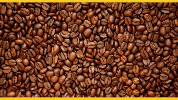 Quelle est la différence entre le café et l'espresso ?
