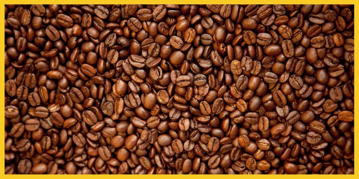 Quelle est la différence entre le café et l'espresso ?