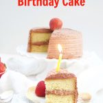 Cette délicieuse recette de gâteau d'anniversaire pour diabétiques contient un gâteau à la vanille sans sucre avec un glaçage au chocolat sans sucre.  Un dessert décadent et savoureux pour tous!