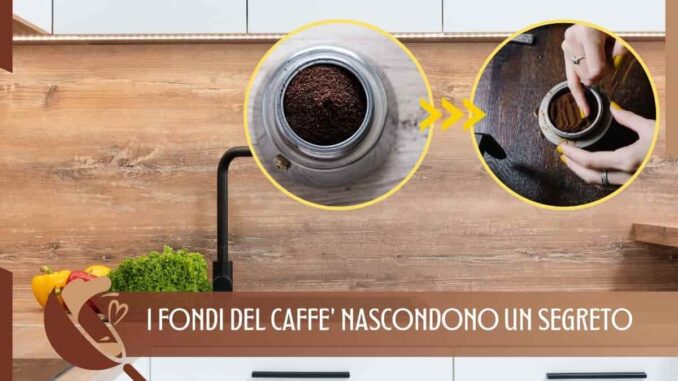 fondi del caffè