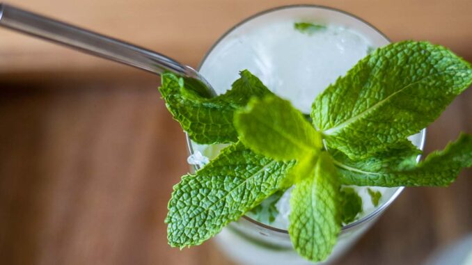  Recette de Bacardi Mojito |  2foodtrippers

