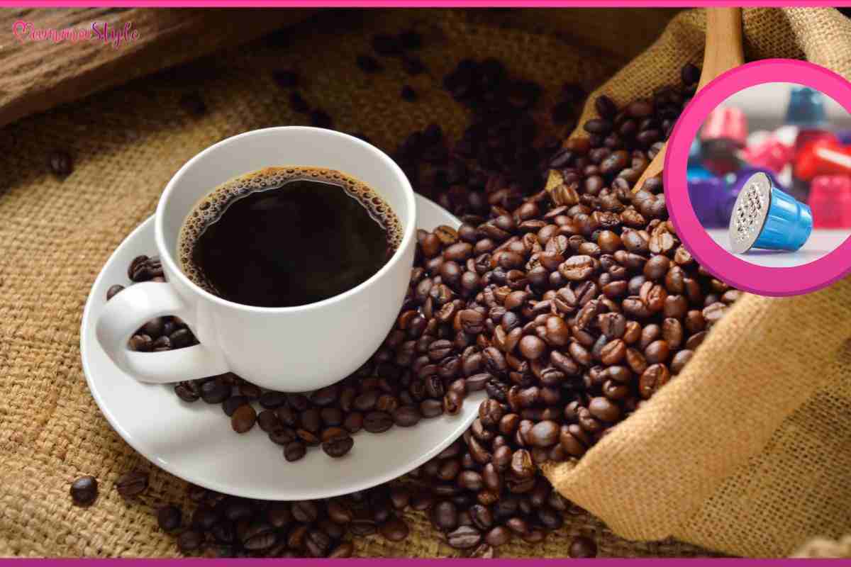 Vous cherchez le meilleur café de tous les temps ?  Achetez ces capsules : ce sont les meilleures du marché