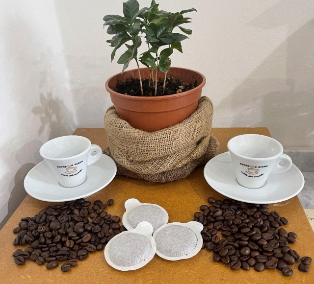 l'atelier du café spécialiste de l'hôtellerie