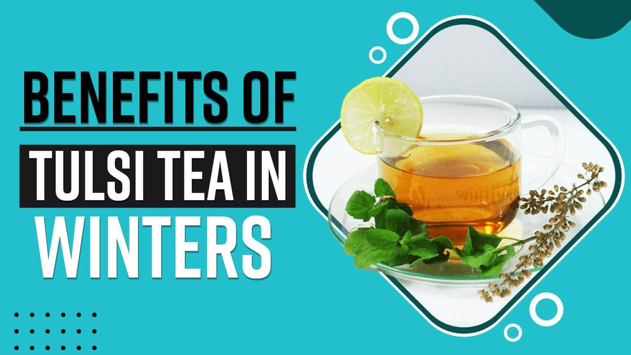 Avantages du thé Tulsi : pourquoi vous devez boire du thé Tulsi/basilic pendant les hivers