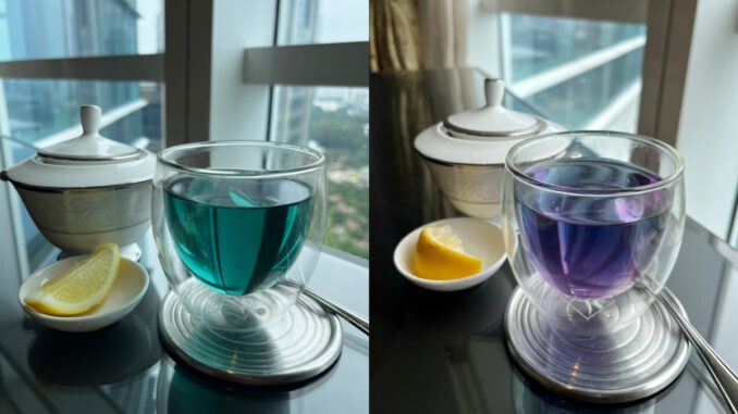  Avez-vous entendu parler du thé bleu ?  Connaître les avantages incroyables pour la santé de cette tisane
